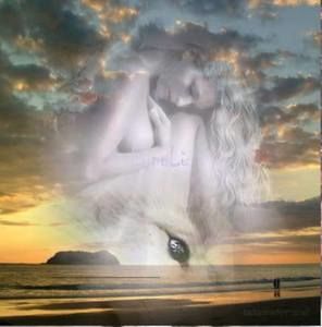 Meet your Posher, Shiloh